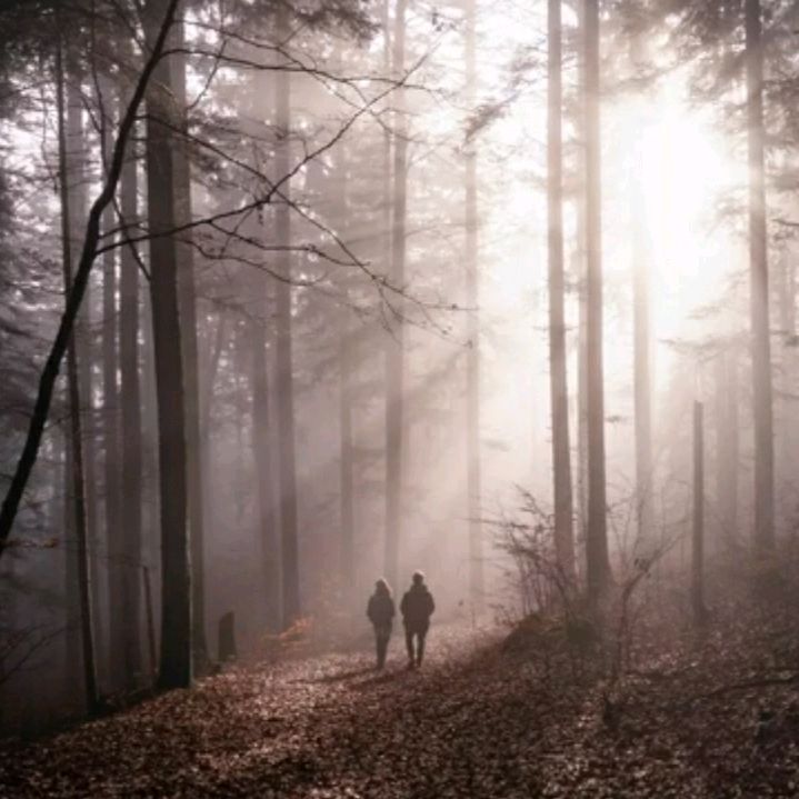 Profile Picture of Константин Лобано111 (@constantinelobano0) on Tiktok