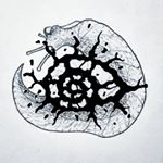 Profile Picture of Slade Bennett (@echoedenigmadesign) on Instagram