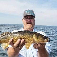 Profile Picture of paulagilbertson0 (@paulagilbertson0) on Tiktok