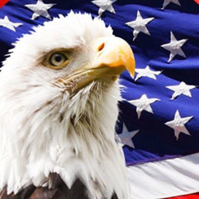 Cynthia Arthur - Twitter Profile Picture of Cynthia Arthur (@CynthiaArthur1) on Twitter