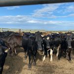 Profile Picture of The Abdul-Jabbars (@theabduljabbars) on Instagram