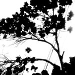 Profile Picture of Michael Crooker (@vubizonit) on Instagram