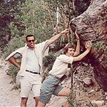 Profile Picture of Joel Goldstein (@joelwgoldlwv) on Instagram