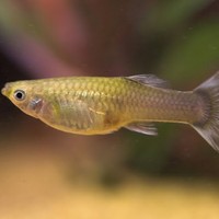 Profile Picture of Christian Alvarez (@christian-alvarez-129) on Quora