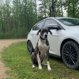 Jared Carlson - Facebook Profile Picture of Jared Carlson (@gt.carson.1) on Facebook