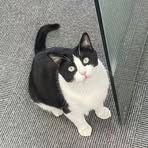 Profile Picture of Winnie Woo (@Winnie-Woo) on Facebook