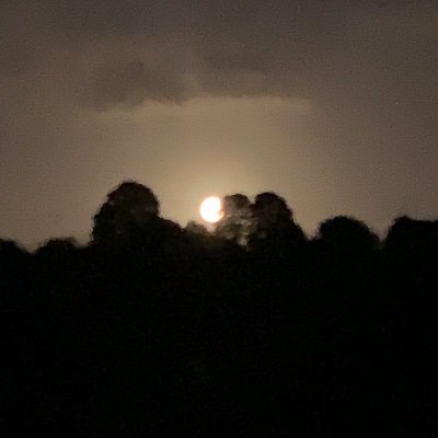 Profile Picture of Dylan Burrell (@DylanBurrell9) on Twitter