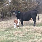 Profile Picture of Cole Everett (@everett_farms) on Instagram