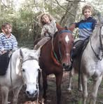 Profile Picture of Sebastian Segura (@Sebastian-Segura) on Facebook