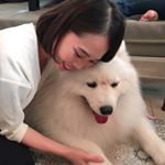 Profile Picture of Eunice Ting (@tingting12) on Instagram