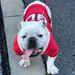 Profile Picture of Connie Hobbs (@chobbs0187) on Pinterest