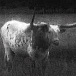 Profile Picture of Joe McLain (@joe.mclain.792) on Instagram