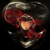 Profile Picture of Iris Hoffmann (@@irishoffmann0) on Tiktok