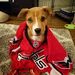 Profile Picture of steven ochsman (@sochsman) on Pinterest