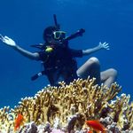 Profile Picture of Omar Allam (@omaro_allam) on Instagram