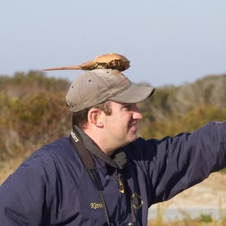 Profile Picture of Kevin Graff (@kevingraff) on Instagram