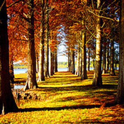 Philip	Slocombe - Twitter Profile Picture of Philip	Slocombe (@SlocombePhilip) on Twitter