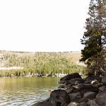 Laurie Ginsberg Mello - Instagram Profile Picture of Laurie Ginsberg Mello (@lauriejmello) on Instagram