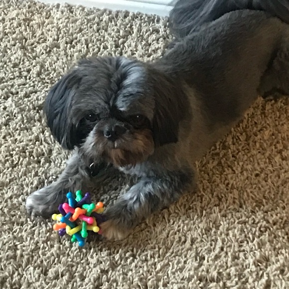 Profile Picture of Stacey Leonard-barry (@sleob) on Poshmark