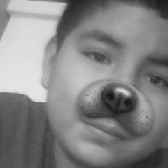 Moises Estevez - Twitter Profile Picture of Moises Estevez (@MoisesEstevez3) on Twitter