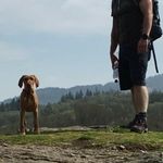 Profile Picture of Glenn Adamson (@glenn.adamson) on Instagram