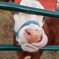 Profile Picture of Stacie Coyle (@stacie-coyle-1) on Quora