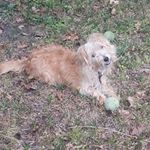 Profile Picture of Veronica Patton (@veronica.patton.75457) on Instagram