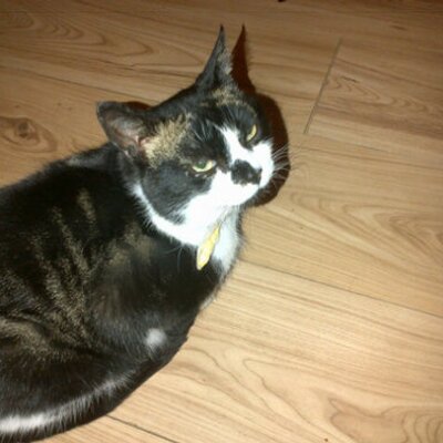 Profile Picture of Joanne Quinton (@jo2570) on Twitter