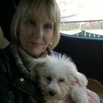Profile Picture of Ann Gould (@anniegould58) on Instagram
