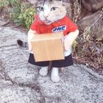 Profile Picture of Michael Batong bakal (@michaelbatong) on Instagram