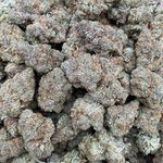 Profile Picture of Sean Shannon (@sean.shannon.35380) on Instagram