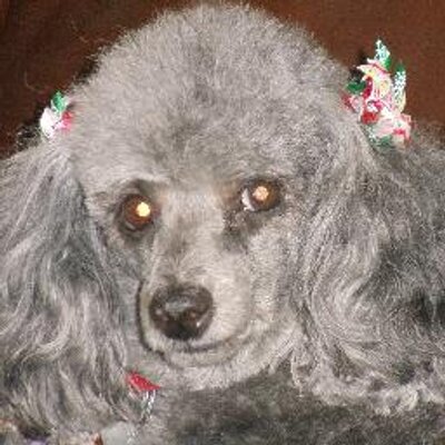 Profile Picture of Joyce Cox (@jccc37) on Twitter