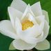 Profile Picture of Artemisa Cavazos (@Artemisa-Cavazos) on Facebook