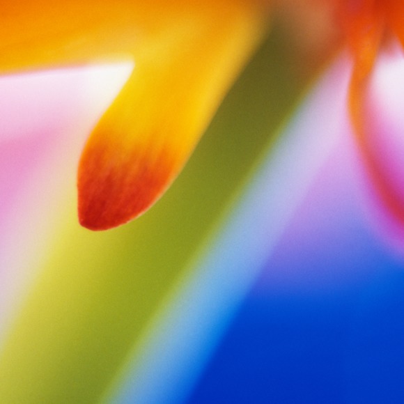 Profile Picture of Lily He (@houstonlily) on Poshmark