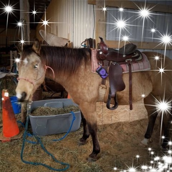 Profile Picture of Donnajean Brellenthin (@dbrellenthin) on Poshmark