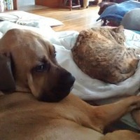 Profile Picture of Ariel Dunn (@ariel-dunn-4) on Quora