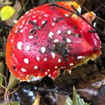 Profile Picture of Ed monger (@ed_404_not_found) on Instagram