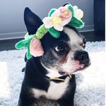 Profile Picture of hi i'm maddie (@itsmaddiecakes) on Instagram