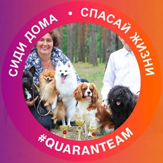 Profile Picture of Elena Dmitriuk (@elena.dmitriuk.9) on Facebook