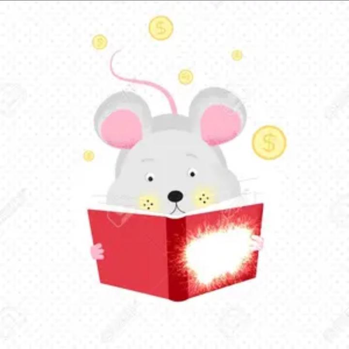 Profile Picture of Shelly Zhang (@shellyzhang8) on Tiktok