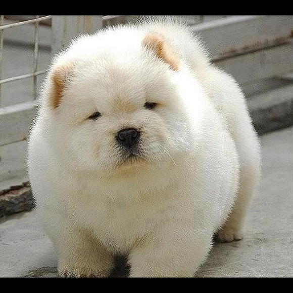 Adlah Zegar - Poshmark Profile Picture of Adlah Zegar (@azegar1) on Poshmark