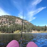 Profile Picture of Renee Latham (@rmlatham) on Instagram