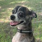 Sondra Moore - Instagram Profile Picture of Sondra Moore (@lovekozmo) on Instagram