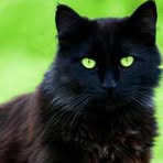 Profile Picture of Kitty Stimatze (@kitty.stimatze) on Facebook