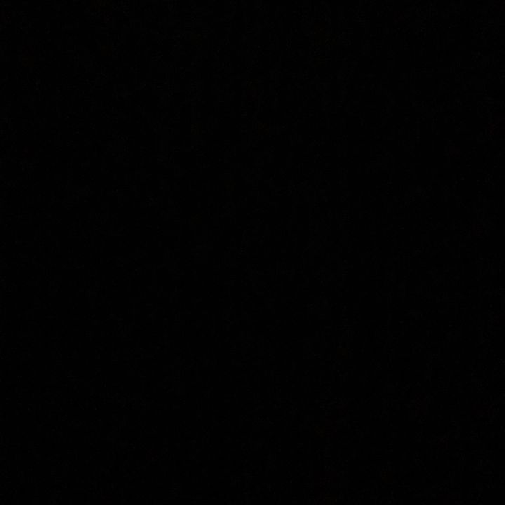 Profile Picture of Sophia (@daniellebartorillo) on Tiktok