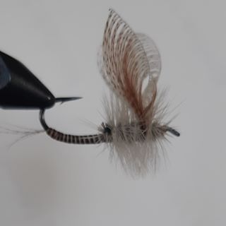 Profile Picture of Dillon Jesso (@Dillon-Jesso) on Facebook