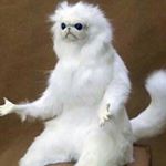 Profile Picture of Miguel Jackson (@yit.postint) on Instagram