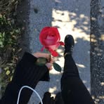 Profile Picture of Alex Gal (@alex.gal.237049) on Facebook