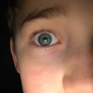 Profile Picture of Albert Felber (@albert.felber) on Instagram