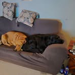 Profile Picture of Howard Gardner (@howard.gardner.14) on Facebook